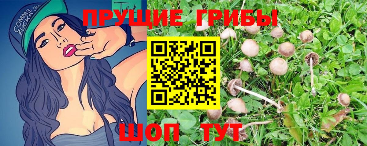 Галлюциногенные грибы Psilocybe  Вход с VPN  Чистополь  Галлюциногенные грибы ЛСД 